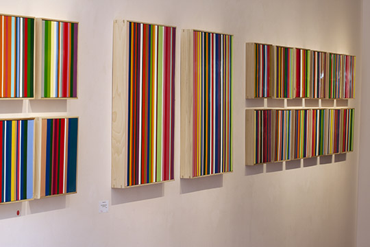 Solo Show Image